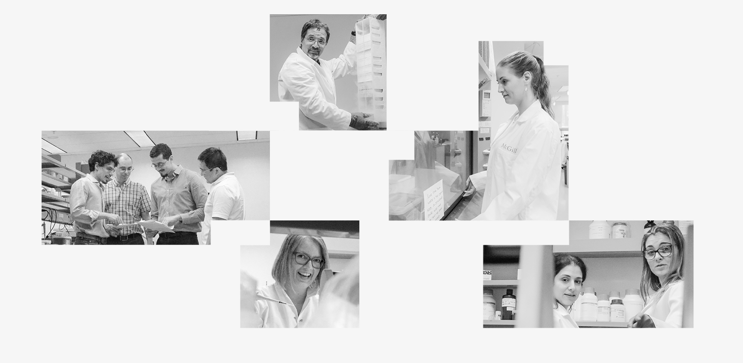 PROPOSAL-WEB-SITE---HPGL---BANNER-COLLAGE_2